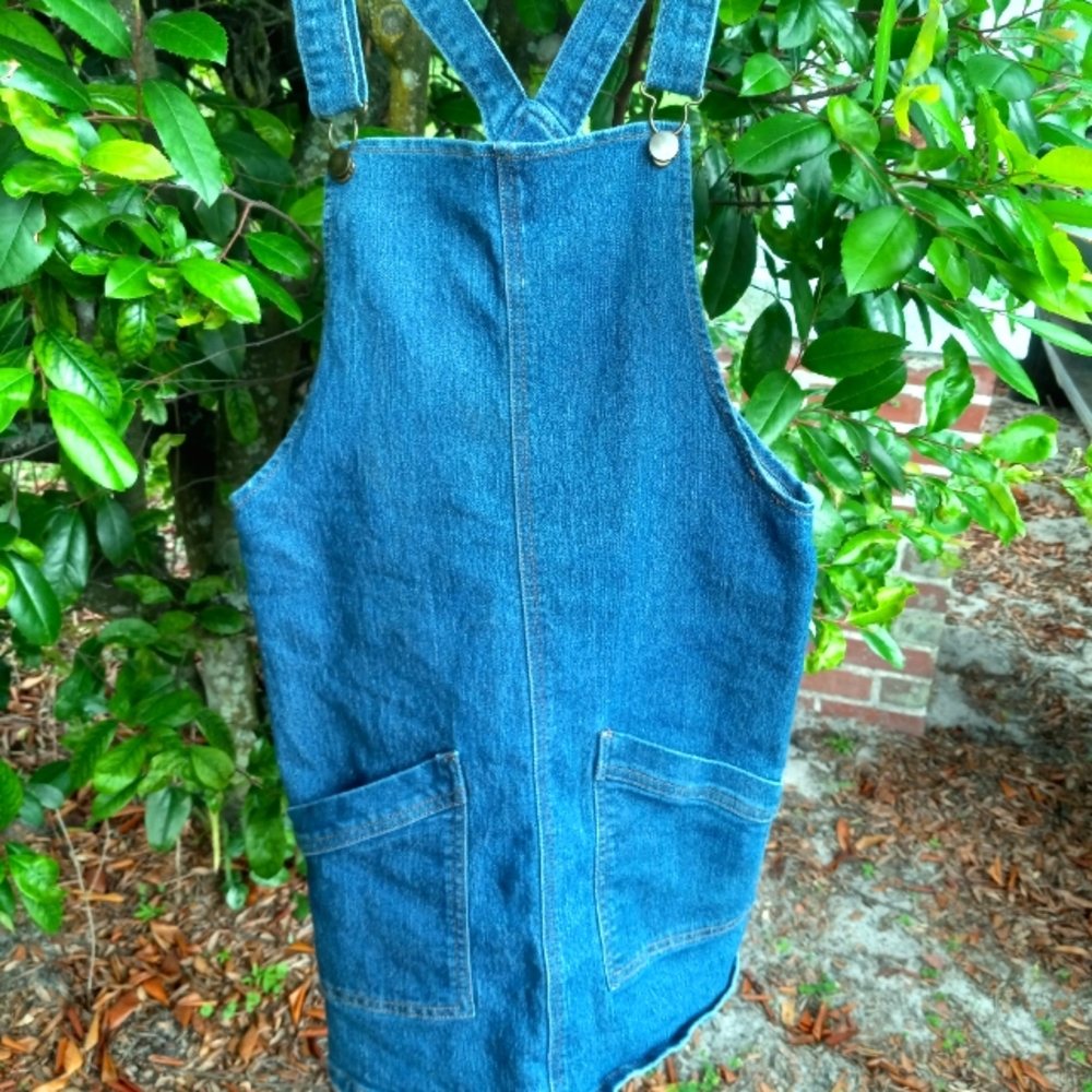 SO Overall Jean Skirt
